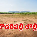 సిద్దిపేటలో 74 ఎకరాల భూ కుంభకోణం.. లీజు పేరుతో రాత్రికి రాత్రే పట్టాలు..!