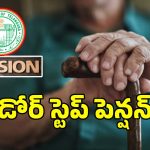 తెలంగాణ సర్కార్ సంచలన నిర్ణయం.. ఇంటి వద్దకే వచ్చి పెన్షన్..?