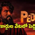 అమెరికాలో ‘పెద్ది’ రికార్డుల సునామీ.. బిగ్గెస్ట్ ఓపెనింగ్‌కు రెడీ అవుతున్న రామ్ చరణ్..