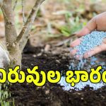 రైతన్నలకు పిడుగులాంటి వార్త.. మళ్లీ పెరిగిన ధరలు..?