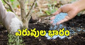 రైతన్నలకు పిడుగులాంటి వార్త.. మళ్లీ పెరిగిన ధరలు..?