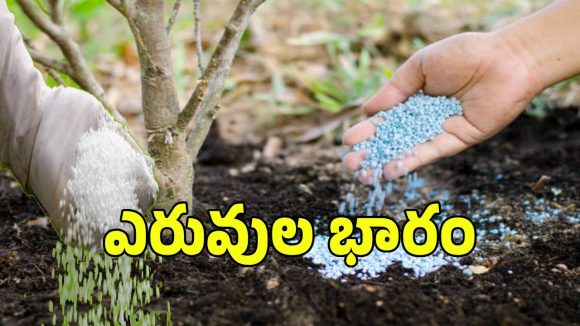 రైతన్నలకు పిడుగులాంటి వార్త.. మళ్లీ పెరిగిన ధరలు..?