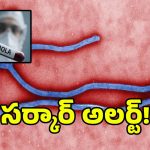 ఎబోలా వైరస్ పై తెలంగాణ సర్కార్ బిగ్ అప్డేట్.. అలర్ట్ అయిన ప్రభుత్వం!