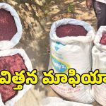 షామీర్‌పేట్‌లో నిషేధిత BT-3 విత్తనాల దందా కలకం