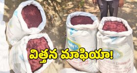 షామీర్‌పేట్‌లో నిషేధిత BT-3 విత్తనాల దందా కలకం