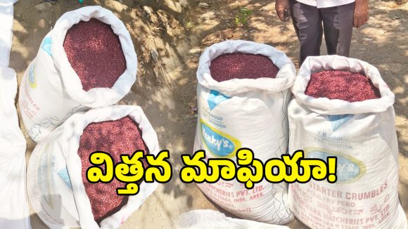 షామీర్‌పేట్‌లో నిషేధిత BT-3 విత్తనాల దందా కలకం