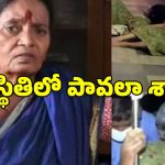 అర్ధ రాత్రి నడి రోడ్డుపై సీనియర్ నటి పావలా శ్యామల.. పాపం ఆసుపత్రిలో చేర్చుకోకపోవడంతో..
