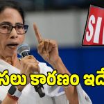 బెంగాల్ రాత మార్చిన SIR.. టీఎంసీ పతనానికి అసలు కారణం అదేనా..?