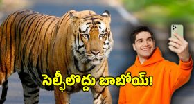 పులితో రియల్ సెల్ఫీలు దిగాలా.. ఇక ఆ ఆశలు వదులుకొండి..?