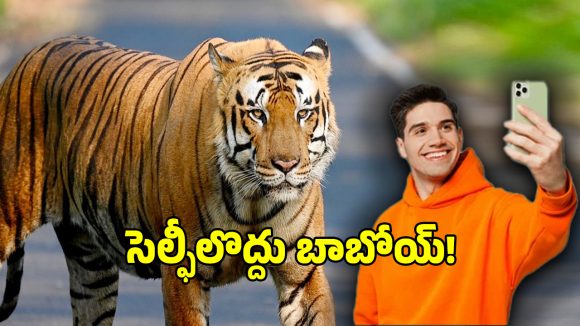 పులితో రియల్ సెల్ఫీలు దిగాలా.. ఇక ఆ ఆశలు వదులుకొండి..?