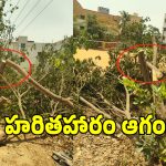 కరెంటు లైన్ల పేరుతో భారీగా చెట్లు నరికివేత.. అధికారుల తీరుపై జనం ఫైర్!