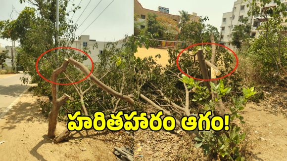 కరెంటు లైన్ల పేరుతో భారీగా చెట్లు నరికివేత.. అధికారుల తీరుపై జనం ఫైర్!