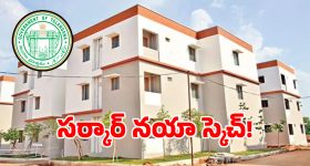 ఇకపై ఇంట్లోనే కాదు.. గోడలపైనా మొక్కలు పెంచేయొచ్చు.. శాస్త్రవేత్తల క్రేజీ ఆవిష్కరణ!