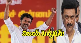 విజయ్ చూపు ఎటు వైపు.. ప్రభుత్వ ఏర్పాటుకు కలిసేదెవరితో?