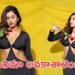 ఆశ్చర్యపరుస్తున్న విష్ణుప్రియ నెల సంపాదన.. హీరోయిన్ కి మించి!