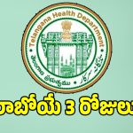 గర్బిణీలు, వృద్దులు బీ కేర్‌ఫుల్.. పబ్లిక్ హెల్త్ డిపార్ట్ మెంట్ కీలక సూచనలు!
