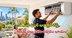 ఎలాన్ మస్క్ ఆందోళన.. ఇండియాలో జననాల రేటు తగ్గుదల, గణాంకాలతోపాటు
