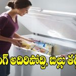 వ్యాపారమైనా, ఇల్లయినా నో టెన్షన్.. తక్కువ కరెంట్‌తో ఎక్కువ కూలింగ్ ఇచ్చే డీప్ ఫ్రీజర్స్