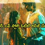 నెలలోపే ఓటీటీలోకి రొమాంటిక్ ఎంటర్టైనర్… కానీ చిన్న ట్విస్ట్