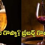 బీర్‌కు బ్రీజర్స్‌కు మధ్య తేడా ఏంటీ? ఏది ఆరోగ్యకరం? ఏది డేంజర్?