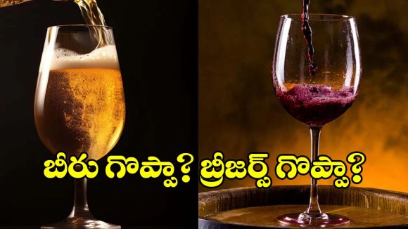 బీర్‌కు బ్రీజర్స్‌కు మధ్య తేడా ఏంటీ? ఏది ఆరోగ్యకరం? ఏది డేంజర్?