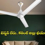 పాత ఫ్యాన్ మార్చే టైమ్ వచ్చేసింది! కరెంట్ బిల్లును 65% తగ్గించే ఫ్యాన్స్!