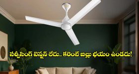 ఇంట్లో పరుగెత్తే గుర్రం విగ్రహంతో నాలుగు లాభాలు.. వాస్తు ప్రకారం ఏ దిశలో పెట్టాలంటే