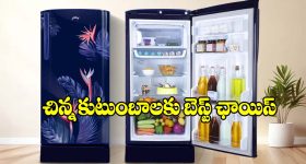 కరెంట్ బిల్లు అస్సలు రాదు.. బ్యాచిలర్స్, చిన్న ఫ్యామిలీస్ కోసం బడ్జెట్ ఫ్రెండ్లీ ఫ్రిజ్‌లు
