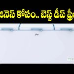 హోటళ్లు, కిరాణా షాపుల కోసం బెస్ట్ డీప్ ఫ్రీజర్.. ఎలా ఎంచుకోవాలి?