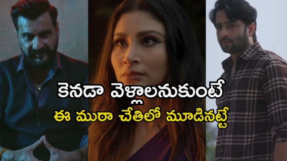విదేశాలకు వెళ్ళే వాళ్లే టార్గెట్… అవయవాల అక్రమ రవాణాతో హార్ట్ ఎటాక్ తెప్పించే సినిమా
