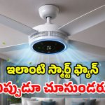 Aero O2 Fan: సాధారణ ఫ్యాన్ కాదు బాబోయ్.. దీని ఫీచర్లు చూస్తే మైండ్ బ్లాకే!