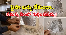 గోడలపై తేమకు కారణం లీకేజీనా? కండెన్సేషనా? అల్యూమినియం ఫాయిల్‌తో ఇలా కనిపెట్టండి!