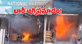 ఆఫీస్ vs వర్క్ ఫ్రమ్ హోమ్.. డబ్బు ఆదాకు ఏది బెస్ట్? ChatGPT షాకింగ్ రిపోర్ట్!