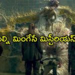 ఈ అడవిలో ఫిజిక్స్ బయాలజీ పని చేయవు… ఒక్కసారి వెళ్తే తిరిగి రారు