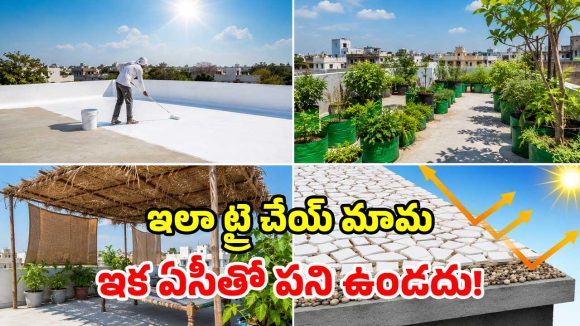 ఇంటి పైకప్పును.. చల్లదనంతో నింపే.. 4 అద్భుతమైన చిట్కాలు ఇవే!