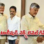 చంద్రబాబును కలిసిన APSFTVTDC చైర్మన్.. టాలీవుడ్‌కు సరికొత్త బూస్టింగ్!