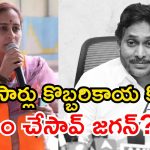 ఐదేళ్లలో రాయలసీమకు జగన్ ఏం చేశారో చెప్పే ధైర్యం ఉందా? – ఎంపీ బైరెడ్డి శబరి