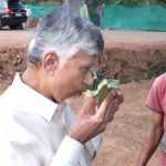 రీల్ కాదు రియల్.. బాలయ్యను మరిపించిన సీఎం చంద్రబాబు, ఇదిగో వీడియో