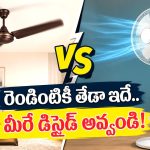సీలింగ్ vs పెడెస్టల్ ఫ్యాన్.. కూలింగ్ ‘కింగ్’ ఎవరు? అసలు నిజం ఇదీ!