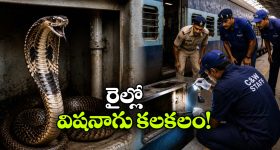 జై షా చేతుల మీదుగా ట్రోఫీ అందుకోవ‌డం ఇష్టం లేక పాకిస్తాన్ ఎలిమినేట్ అయింది