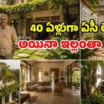 ఇలాంటి ఇల్లు ఉంటే.. లైఫ్‌లో ఏసీ, కూలర్ అక్కర్లేదు.. 40 ఏళ్లుగా 10°C ఉష్ణోగ్రత!