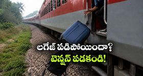 రోబోట్ క్లీనర్ నుండి స్మార్ట్ ప్లగ్ వరకు.. ప్రతి ఇంట్లోనూ ఉండాల్సిన బెస్ట్ అలెక్సా డివైజెస్!