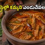 కొబ్బరి మసాలాతో కోస్తా స్టైల్ ఎండుచేపల పులుసు.. ఒక్కసారి తింటే లైఫ్‌లో టేస్ట్ మర్చిపోరు!
