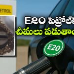 E20 పెట్రోల్‌ పై కొత్త వివాదం.. చీమల కథలో నిజమెంత?