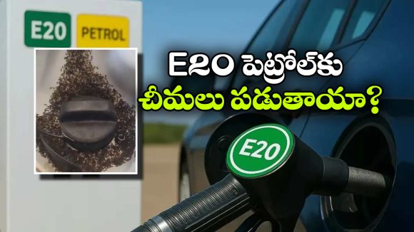 E20 పెట్రోల్‌ పై కొత్త వివాదం.. చీమల కథలో నిజమెంత?