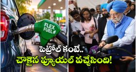 యానిమల్ బ్యూటీ లవ్ ఫెయిల్యూర్ స్టోరీ.. అయ్యో అంత బాధపడిందా..?