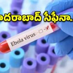 హైదరాబాద్‌లో ఎబోలా కలవరం.. ఒకరికి నెగటివ్, రెండో కేసుపై ఉత్కంఠ!