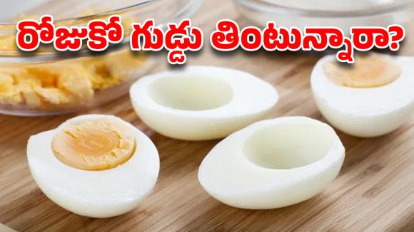 గుడ్డు తింటే జరిగే మ్యాజిక్ ఇదే.. కానీ ఆ ఒక్క తప్పు అస్సలు చేయొద్దు!