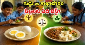 మీ ఇంట్లో పాత చీరలు పారేయకండి.. చీరలతో ఇంటిని అందాన్ని పెంచే డెకరేషన్ టిప్స్