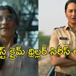 పవర్ ఫుల్ లేడీ ఓరియెంటెడ్ క్రైమ్ థ్రిల్లర్ సిరీస్‌లు… మైండ్ బెండయ్యే ట్విస్టులు